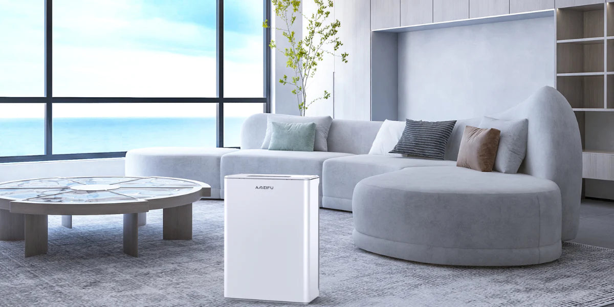 Do air purifiers help with dust ? lifeinstylemall